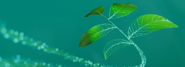 Infineon Technologies
