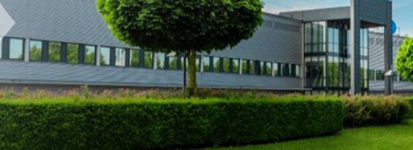 Modern building with large windows, a trimmed hedge, and a leafy tree in front on a bright, clear day.